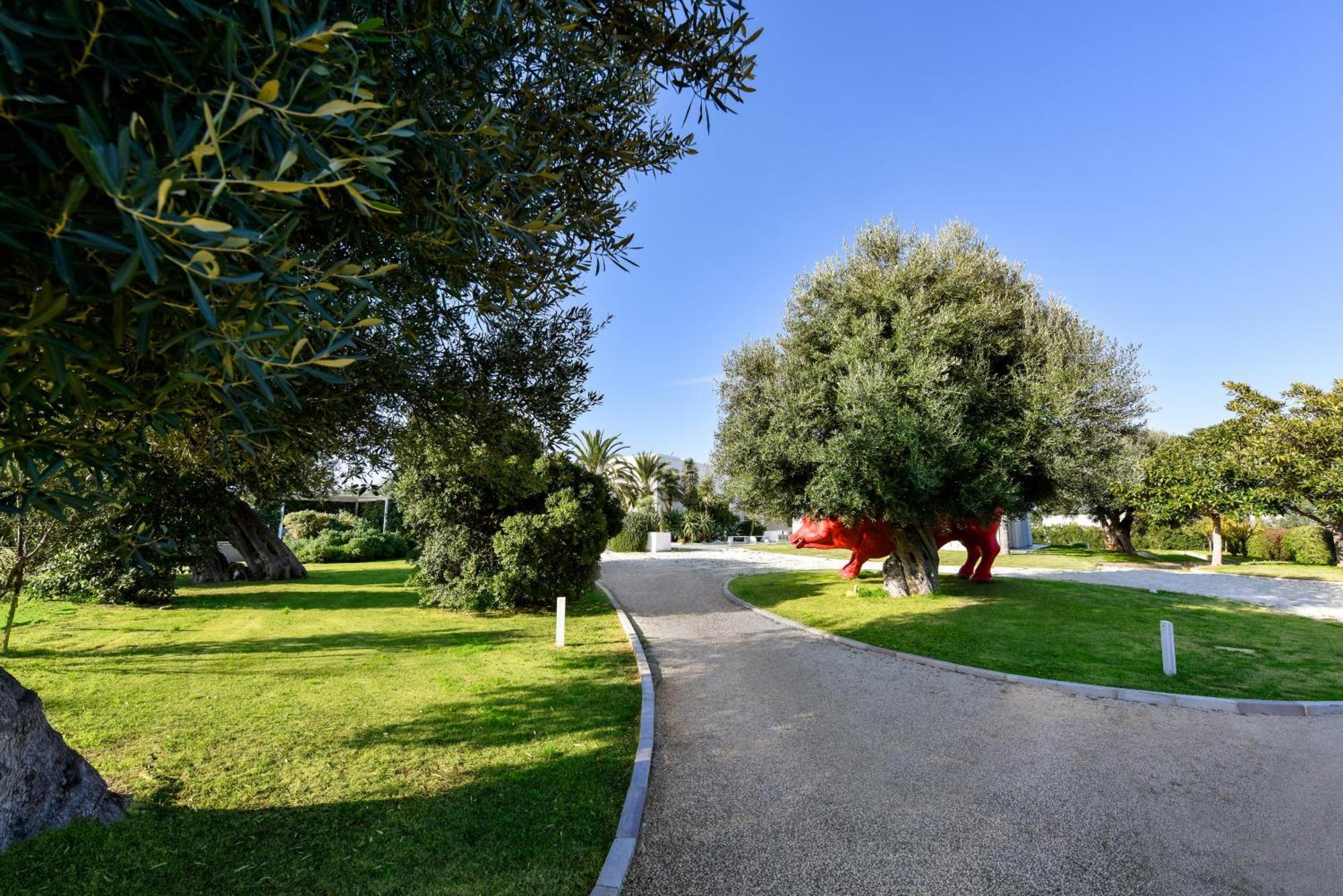 Villa Vinner - Monopoli Buitenkant foto